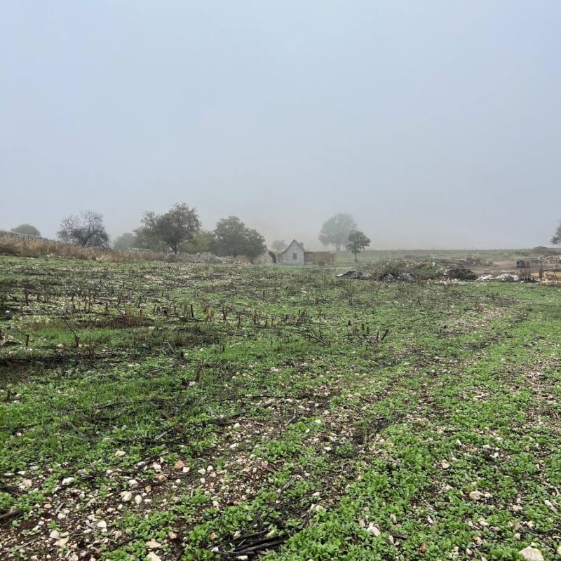 Outdoor Experience | CORE be wellness