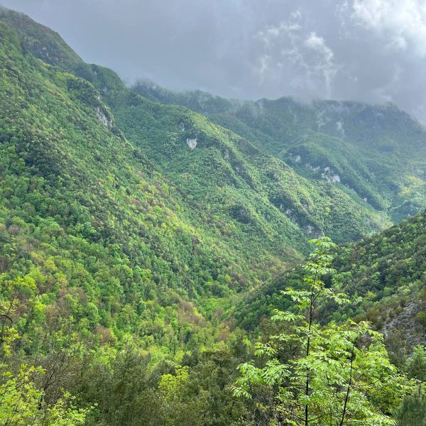 Outdoor Experience | CORE Be Wellness